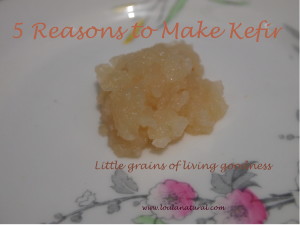 5 Reasons to Make Kefir