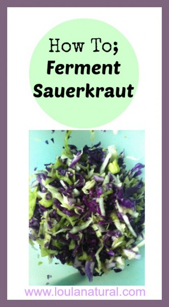Ferment Sauerkraut Loula Natural
