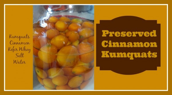 Preserved Cinnamon Kumquats Loula Natural
