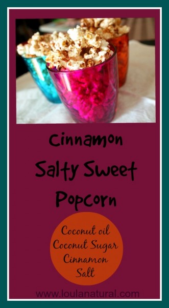 Cinnamon Salty Sweet Popcorn Loula Natural pin