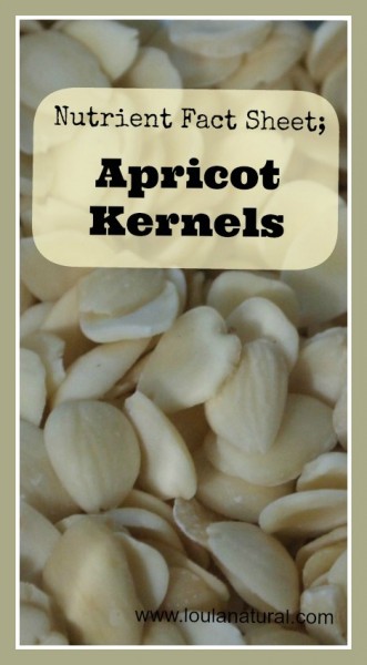 Nutrient Fact Sheet Apricot Kernels Loula Natural pin