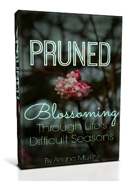 Pruned-Book-Cover
